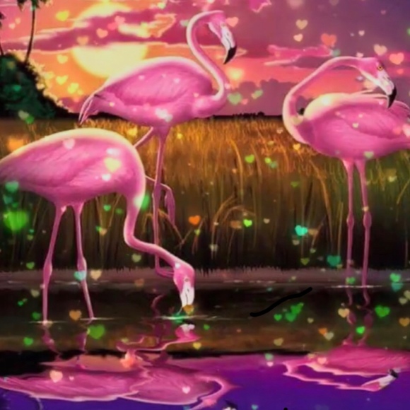 ilove2flamingo